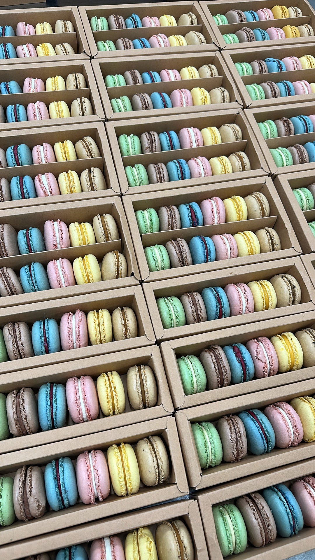 Margar öskjur af frönskum makkarónum í grænum, brúnum, bláum, bleikjum og ljósbrúnum lit.